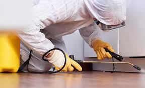 Professional Pest Control in Miami Shores, FL